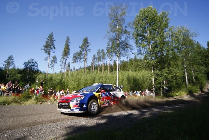 Loeb-Elena  Shakedown.jpg